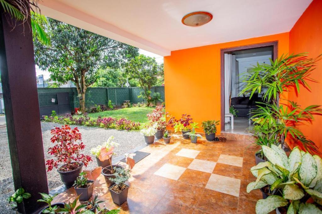 Hotel Blue Bird Negombo Eksteriør bilde